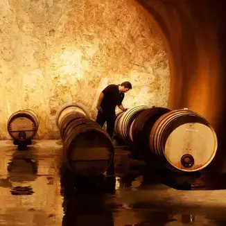 Purlieu Winemaker Julien Fayard