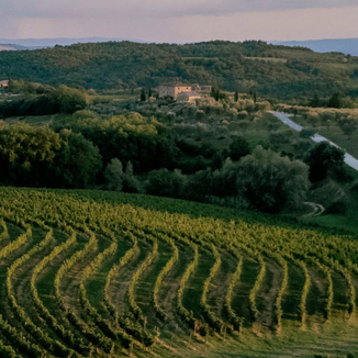 Tenuta di Arceno