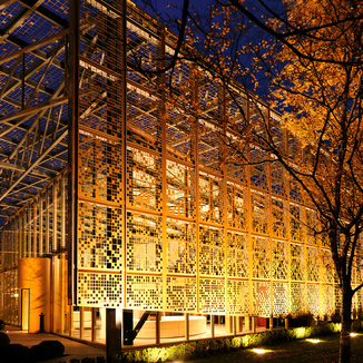 Champagne Piper-Heidsieck