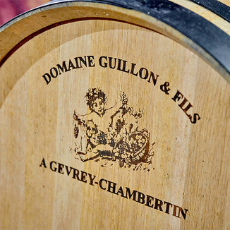 Domaine Jean-Michel Guillon
