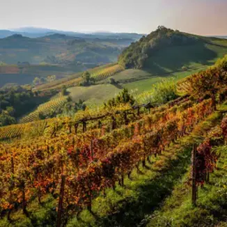 Champagne Jérôme Coessens