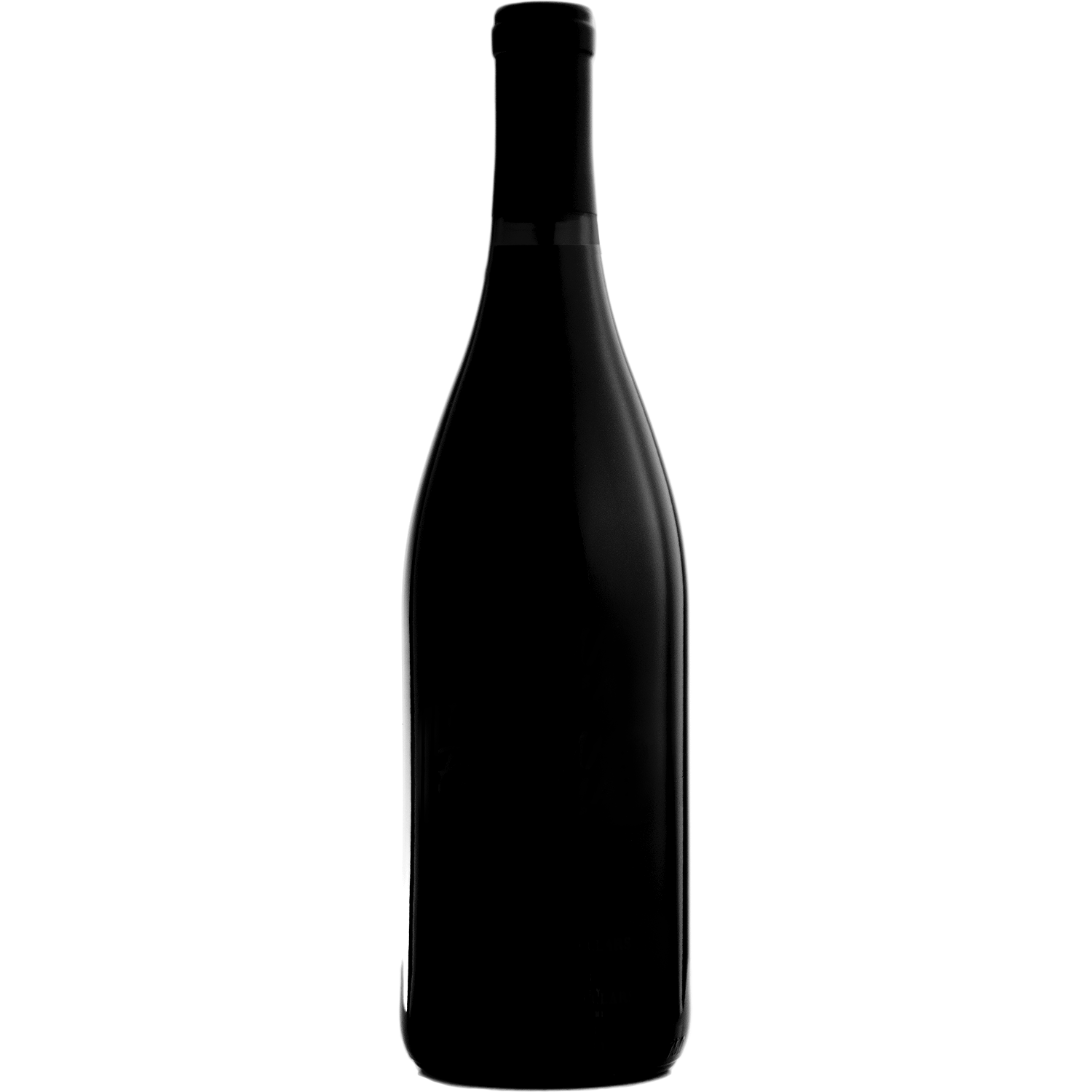 CLASSIFIED 2019 Sonoma County Pinot Noir 750ml Wine Bottle