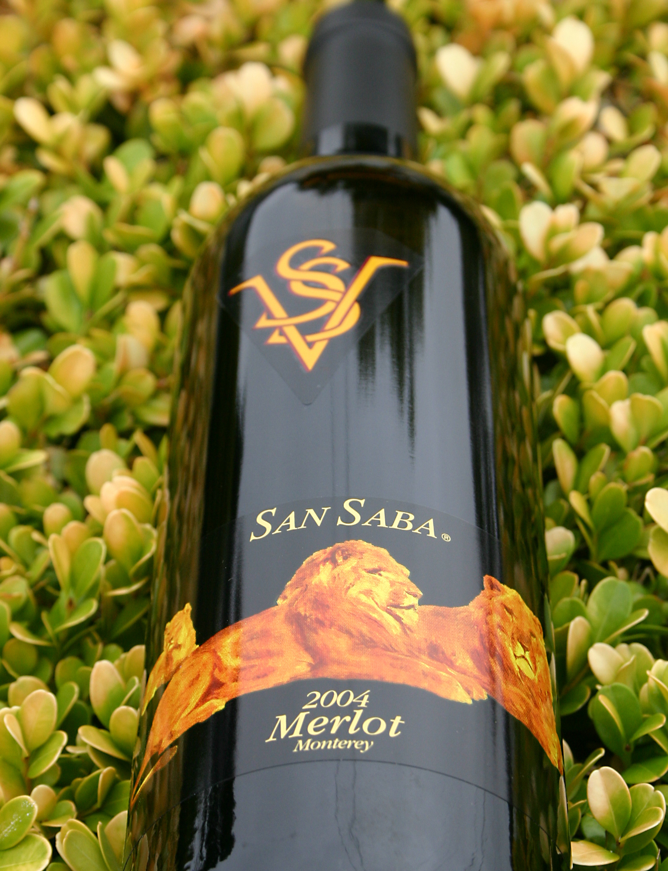 San Saba Vineyards 2004 Merlot 750ml Wine Bottle