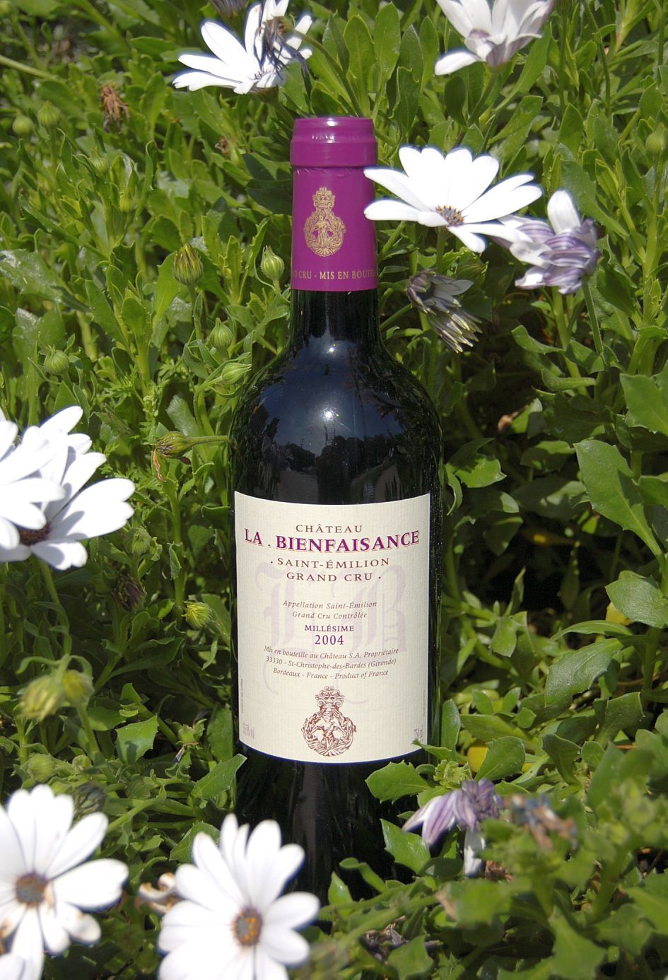 Château La Bienfaisance 2004 Saint-Emilion Grand Cru 750ml Wine Bottle