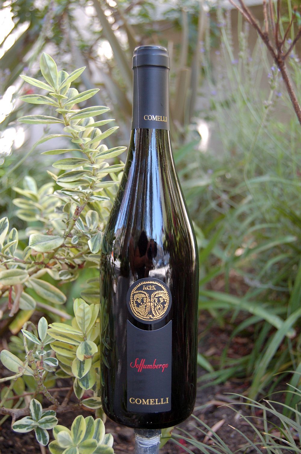 Comelli Paolino 2006 'Soffumbergo' Rosso delle Venezie I.G.T. 750ml Wine Bottle