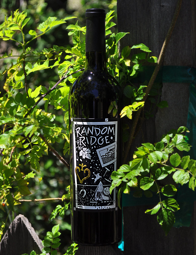 Random Ridge 2004 Cabernet Sauvignon 750ml Wine Bottle