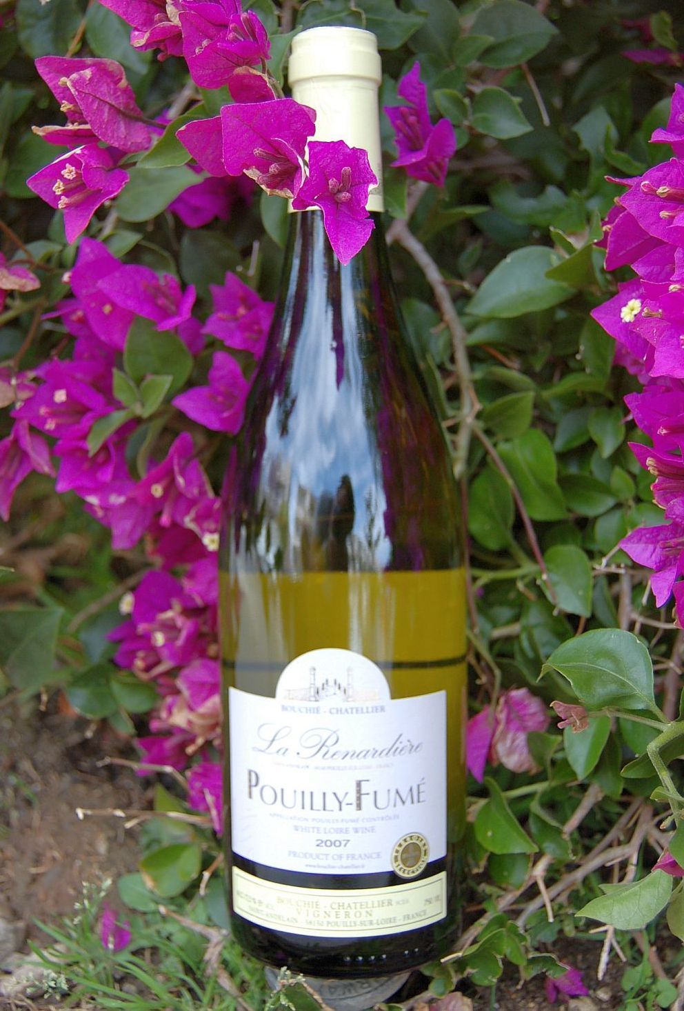 Domaine Bouchie-Chatellier 2007 'La Renardiere' Pouilly Fume 750ml Wine Bottle