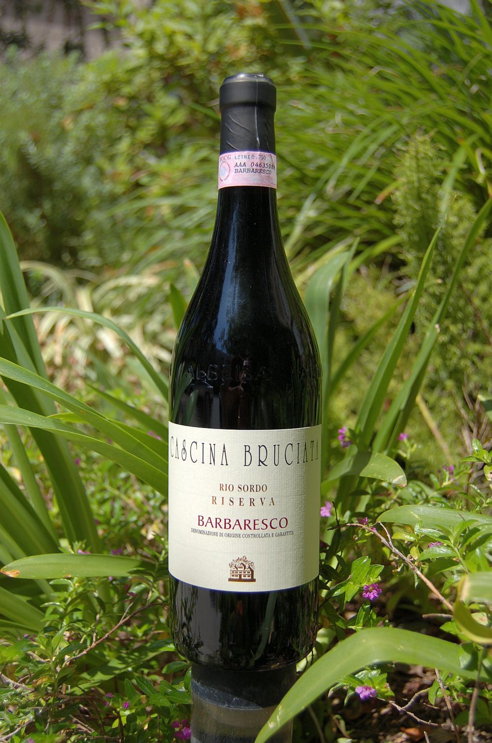 Cascina Bruciata 2004 Barbaresco Rio Sordo Riserva DOCG 750ml Wine Bottle