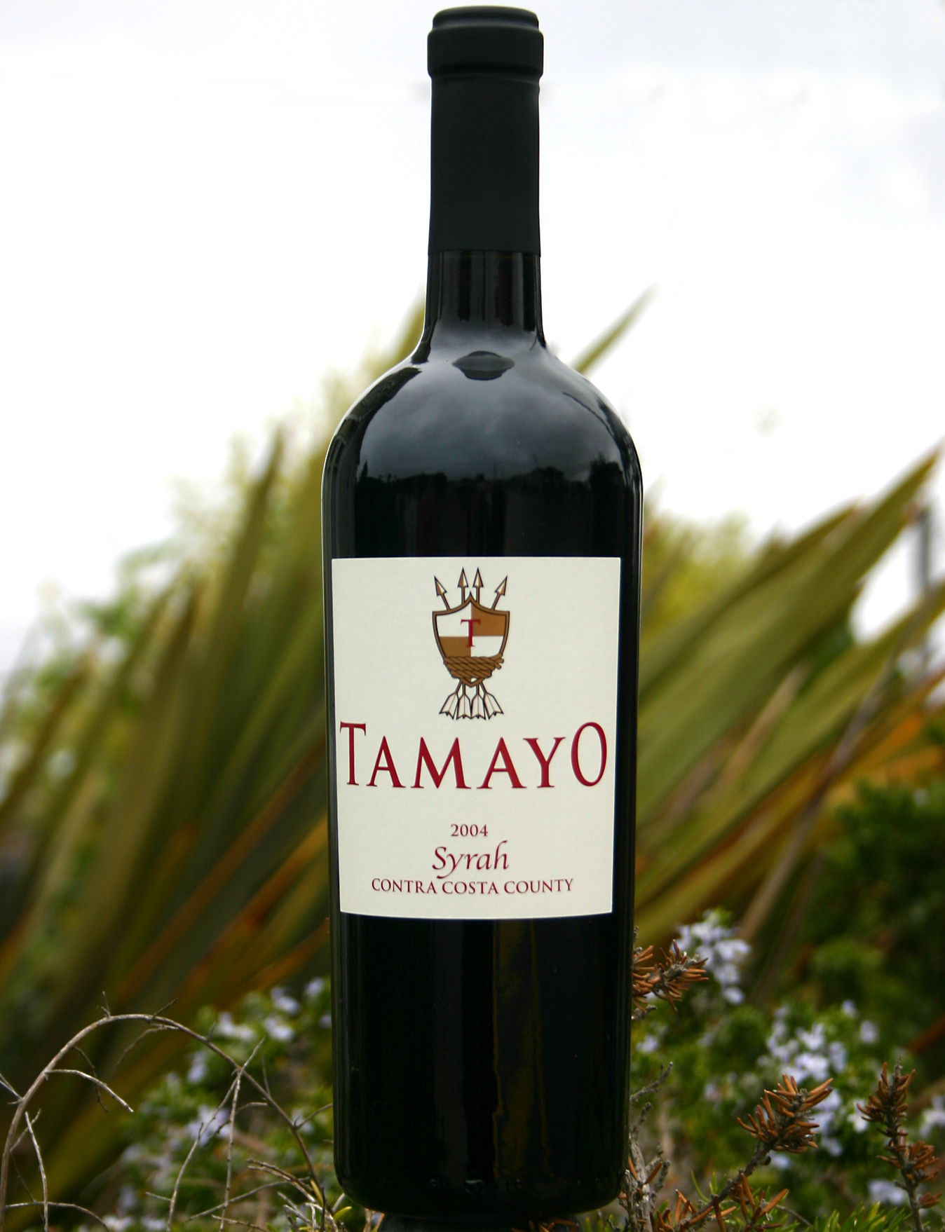 Tamayo Family Vineyards 2004 Estate Grown Syrah 750ml Wine Bottle