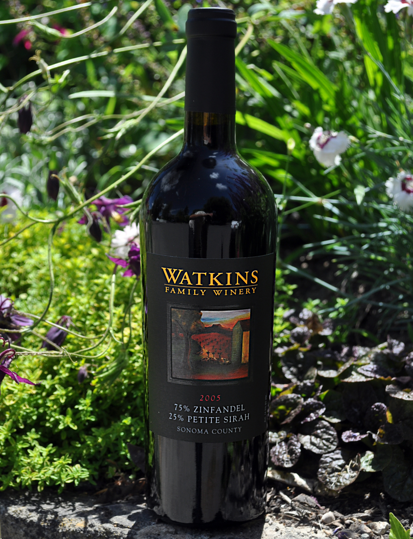 Watkins Family Winery 2005 Zinfandel/Petite Sirah 750ml Wine Bottle