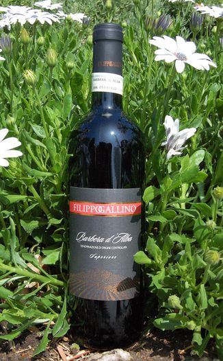 Filippo Gallino 2006 Barbera d'Alba Superiore 750ml Wine Bottle