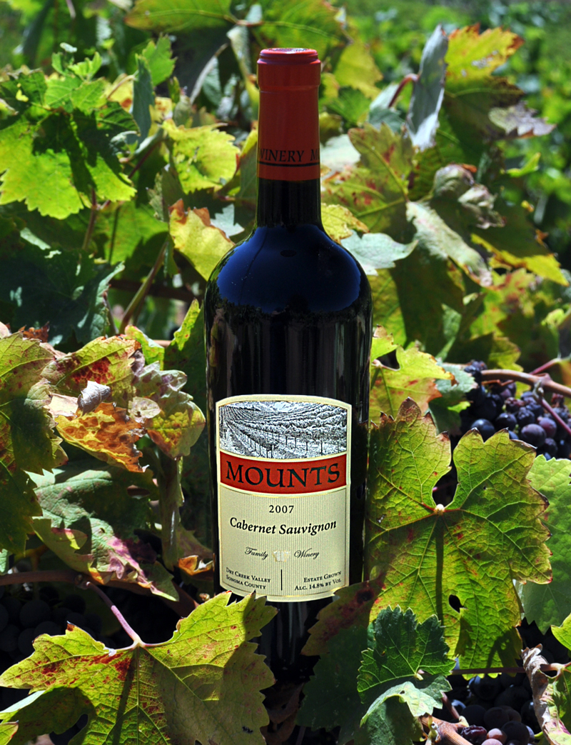 Mounts Family Winery 2007 Dry Creek Valley Cabernet Sauvignon 750ml Wine Bottle