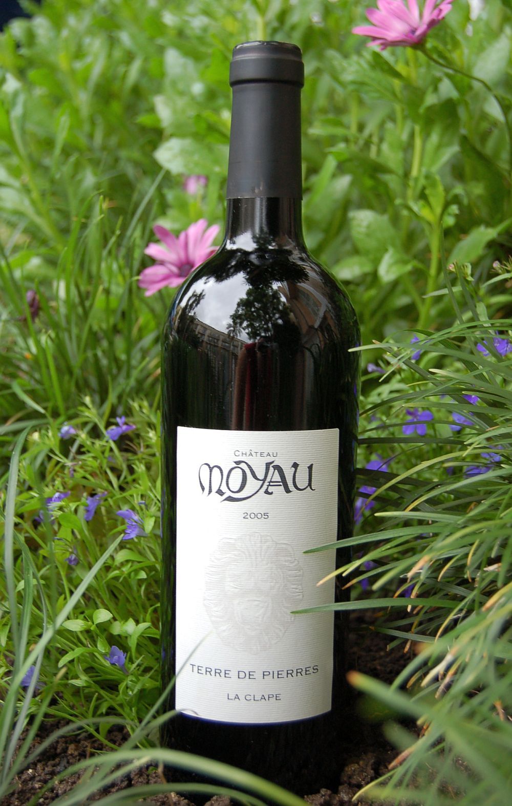 Chateau Moyau 2005 'Terre de Pierres' La Clape 750ml Wine Bottle