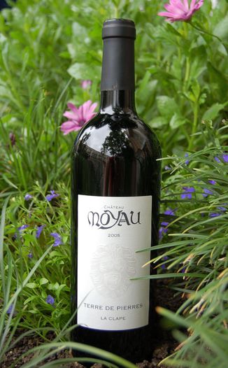 Chateau Moyau 2005 'Terre de Pierres' La Clape 750ml Wine Bottle