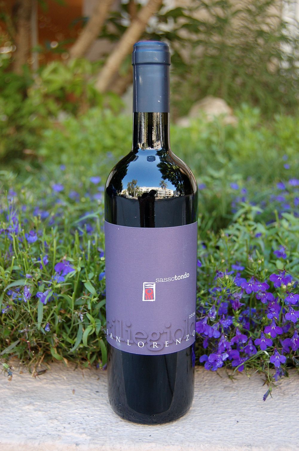 Sassotondo 2006 Ciliegiolo San Lorenzo Maremma Toscana IGT 750ml Wine Bottle