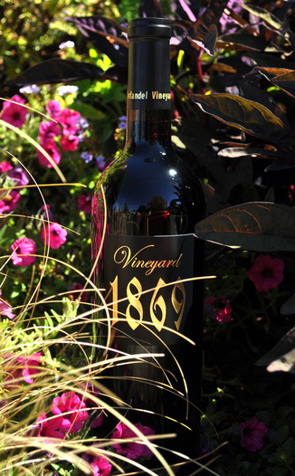 Scott Harvey Wines 2007 Vineyard 1869 Zinfandel 750ml Wine Bottle