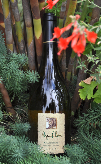 Raymond Burr Vineyards 2008 Dry Creek Valley Chardonnay 750ml Wine Bottle