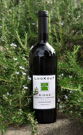 Lookout Ridge 2001 Gabrielli Vineyard Sangiovese 750ml Wine Bottle