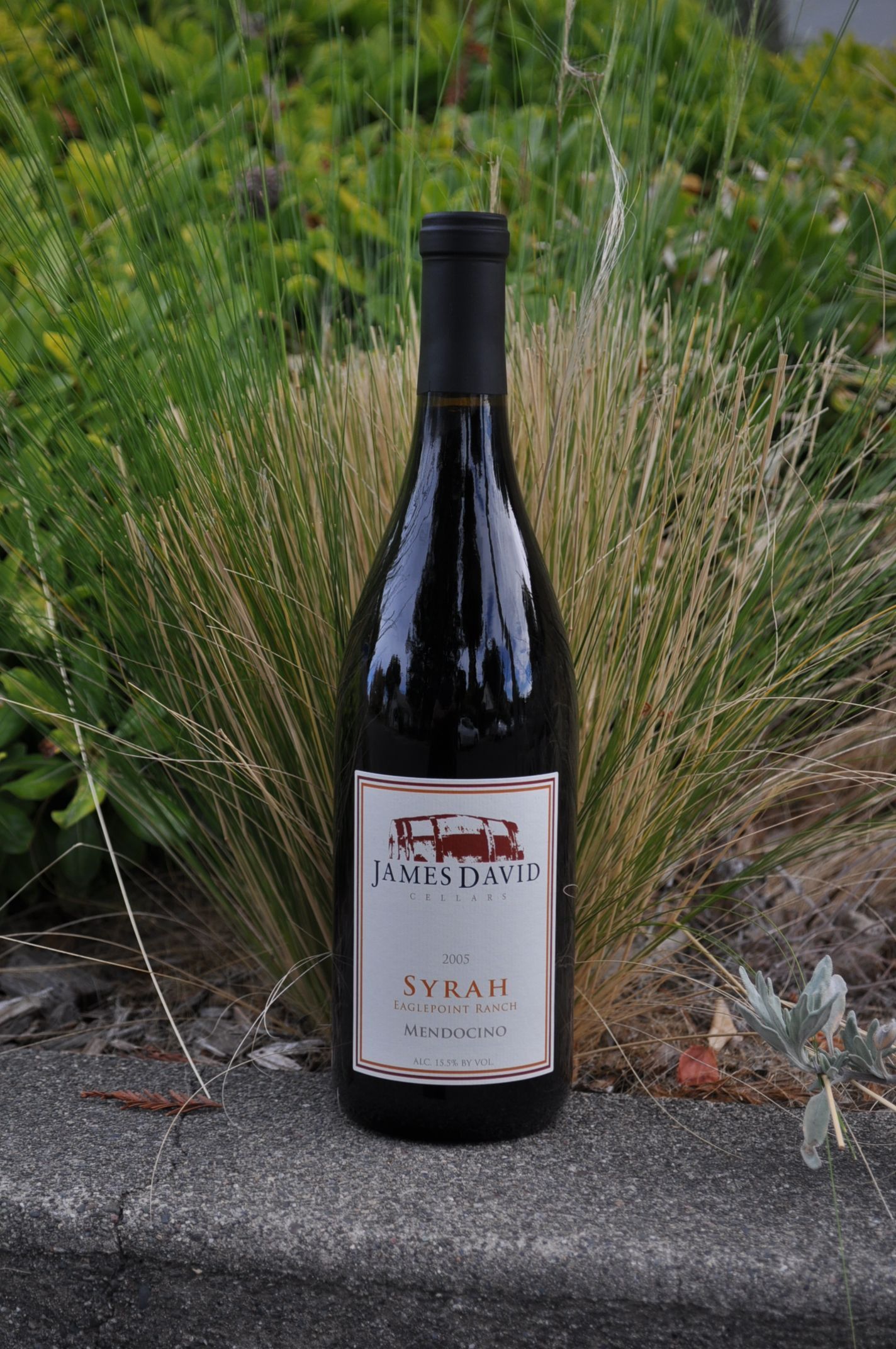 James David Cellars 2005 Eagle Point Ranch Syrah 750ml Wine Bottle