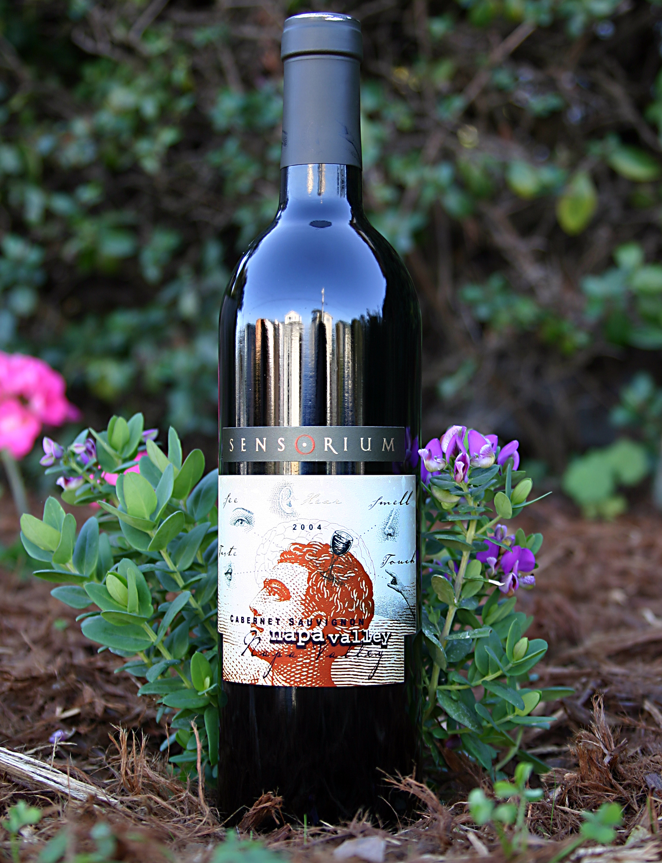 Sensorium Wines 2004 Cabernet Sauvignon 750ml Wine Bottle