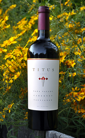 Titus Vineyards 2007 Napa Valley Cabernet Sauvignon 750ml Wine Bottle