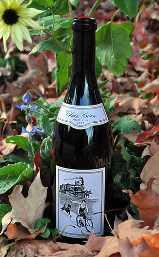Olivia Brion 2007 Heron Lake Vineyard Pinot Noir 750ml Wine Bottle