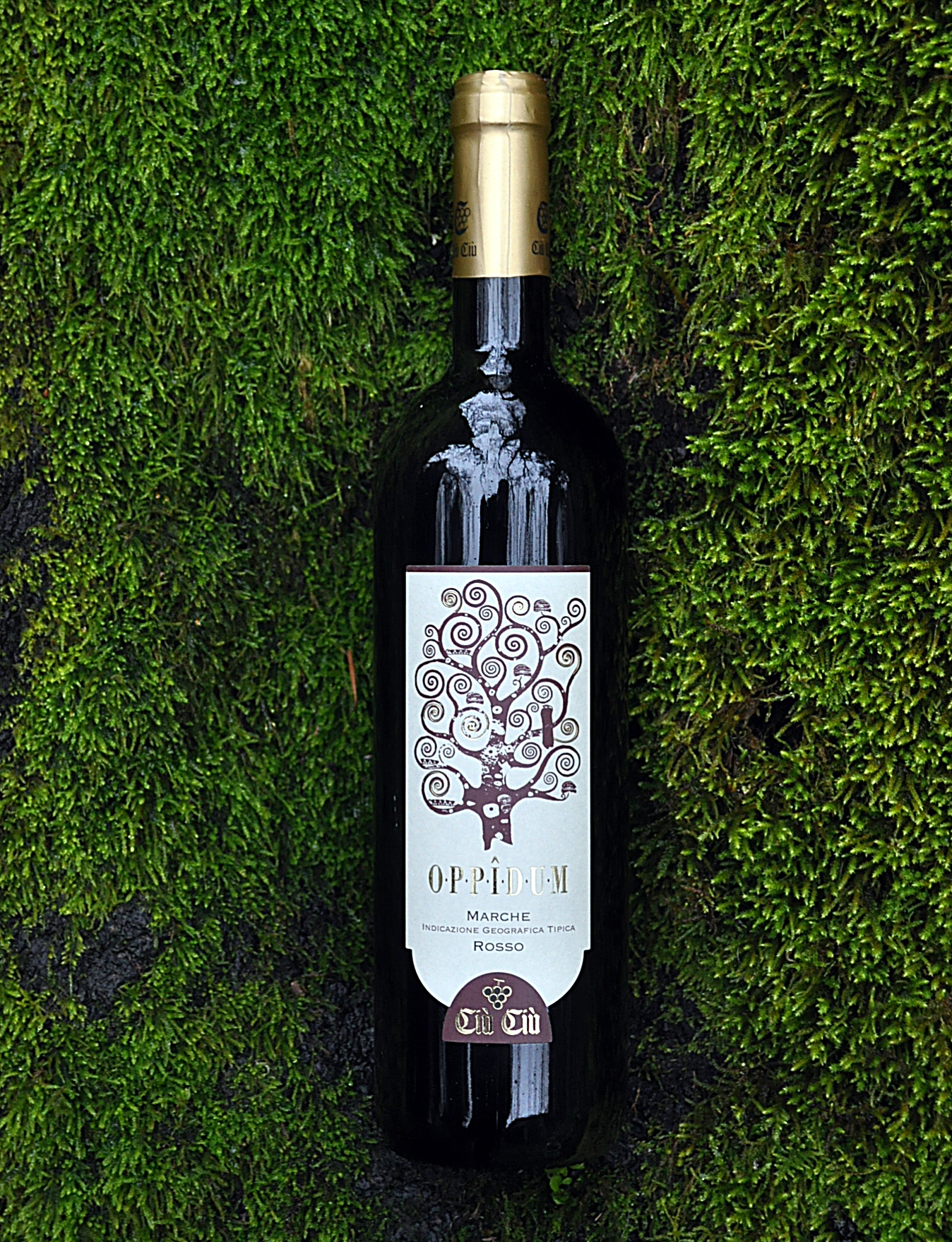 Ciu' Ciu' 2003 'Oppidum' Marche IGT Rosso 750ml Wine Bottle