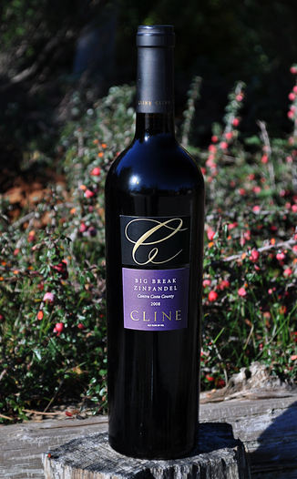 Cline Cellars 2008 Big Break Zinfandel 750ml Wine Bottle