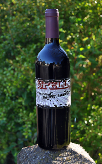 Spelletich Cellars 2005 Spellwine Napa Valley Cabernet Sauvignon 750ml Wine Bottle