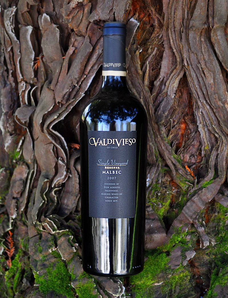 Viña Valdivieso 2007 Single Vineyard Old Vine Malbec 750ml Wine Bottle