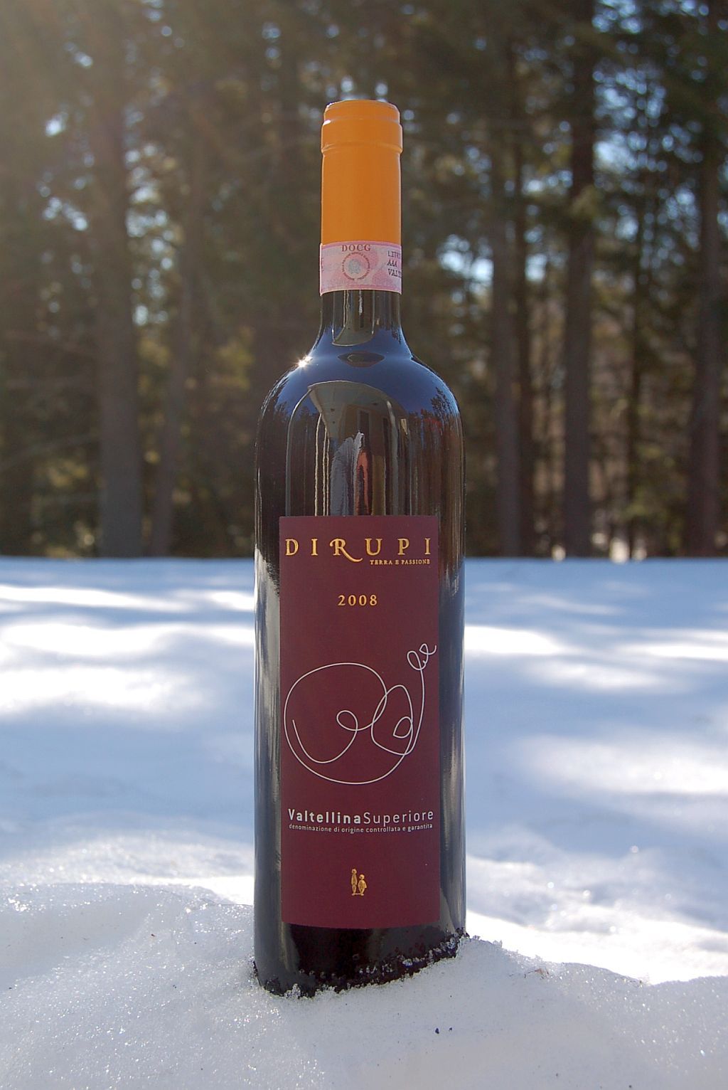 Dirupi 2008 Valtellina Superiore DOCG 750ml Wine Bottle
