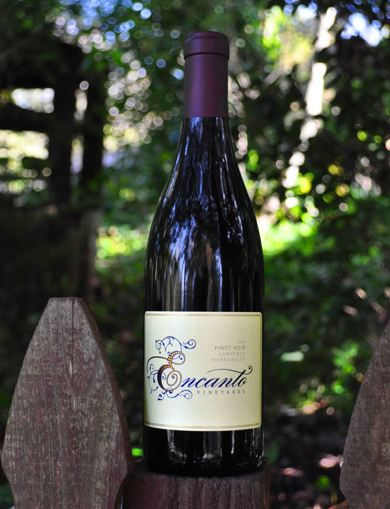 Encanto Vineyards 2008 Carneros Pinot Noir 750ml Wine Bottle
