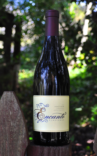 Encanto Vineyards 2008 Carneros Pinot Noir 750ml Wine Bottle