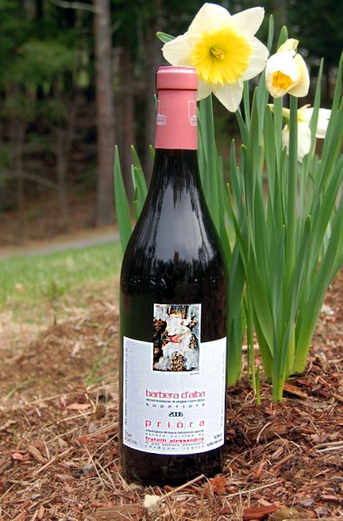 Fratelli Alessandria 2006 'Priora' Barbera d'Alba Superiore DOC 750ml Wine Bottle