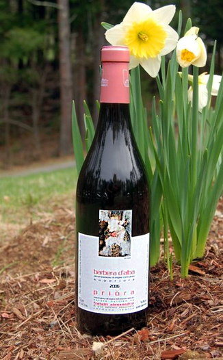 Fratelli Alessandria 2006 'Priora' Barbera d'Alba Superiore DOC 750ml Wine Bottle