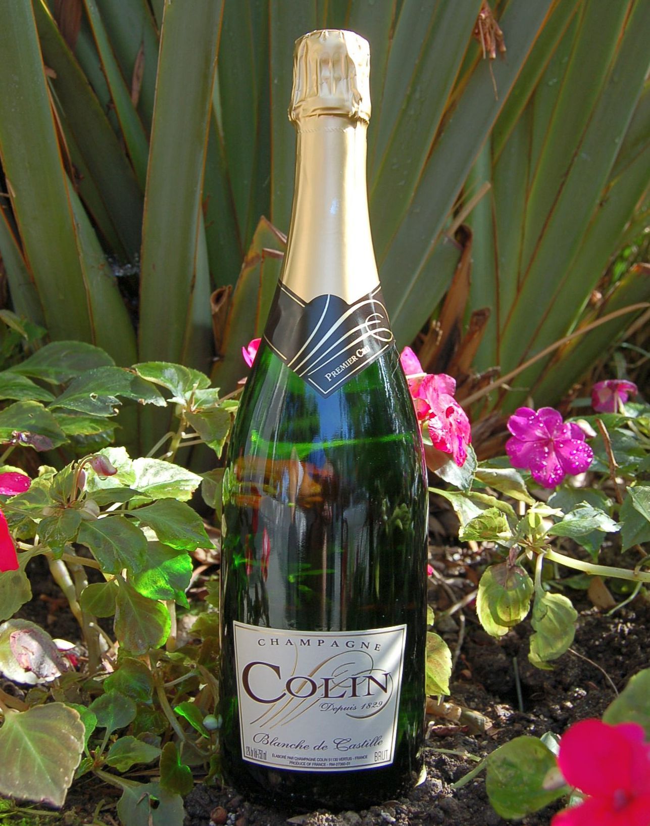 Champagne Colin NV Cuvée Blanche de Castille 750ml Wine Bottle