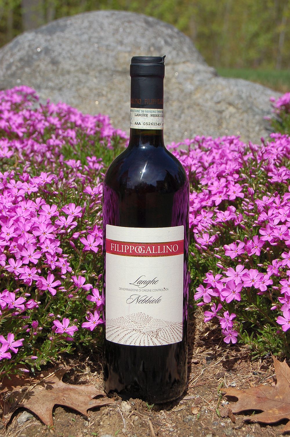 Filippo Gallino 2009 Langhe DOC Nebbiolo 750ml Wine Bottle