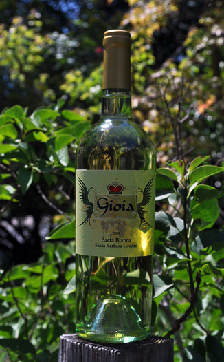 Gioia Wines 2009 Bacia Blanca 750ml Wine Bottle