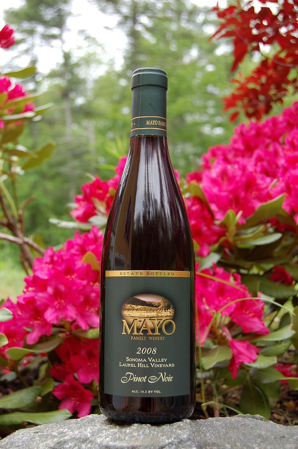 Mayo Family Winery 2008 Sonoma Valley Pinot Noir 750ml Wine Bottle