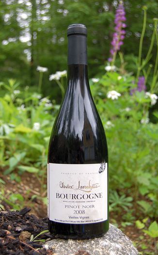 Olivier Larochette 2008 Bourgogne Vieilles Vignes 750ml Wine Bottle