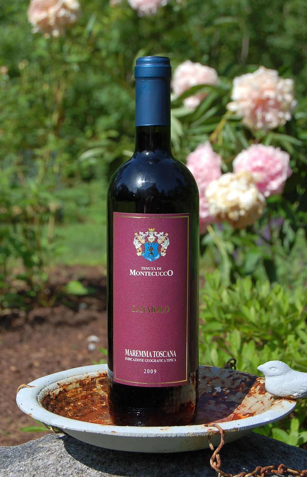 Tenuta di Montecucco 2009 'Canaiolo' Maremma Toscana IGT 750ml Wine Bottle