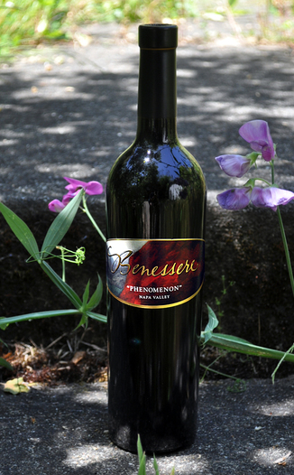 Benessere Vineyards 2003 Phenomenon Red Blend 750ml Wine Bottle