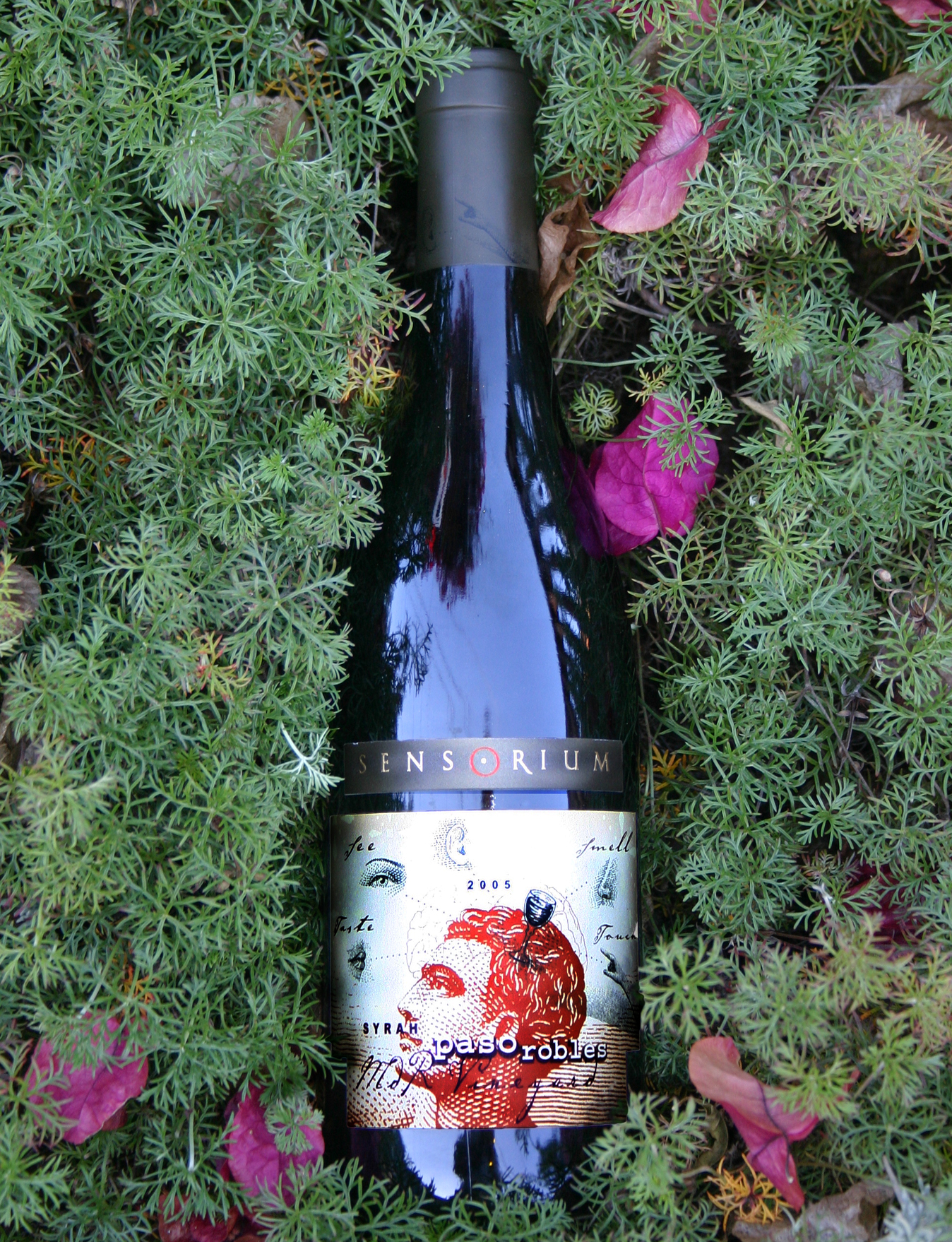 Sensorium Wines 2005 Paso Robles Syrah 750ml Wine Bottle