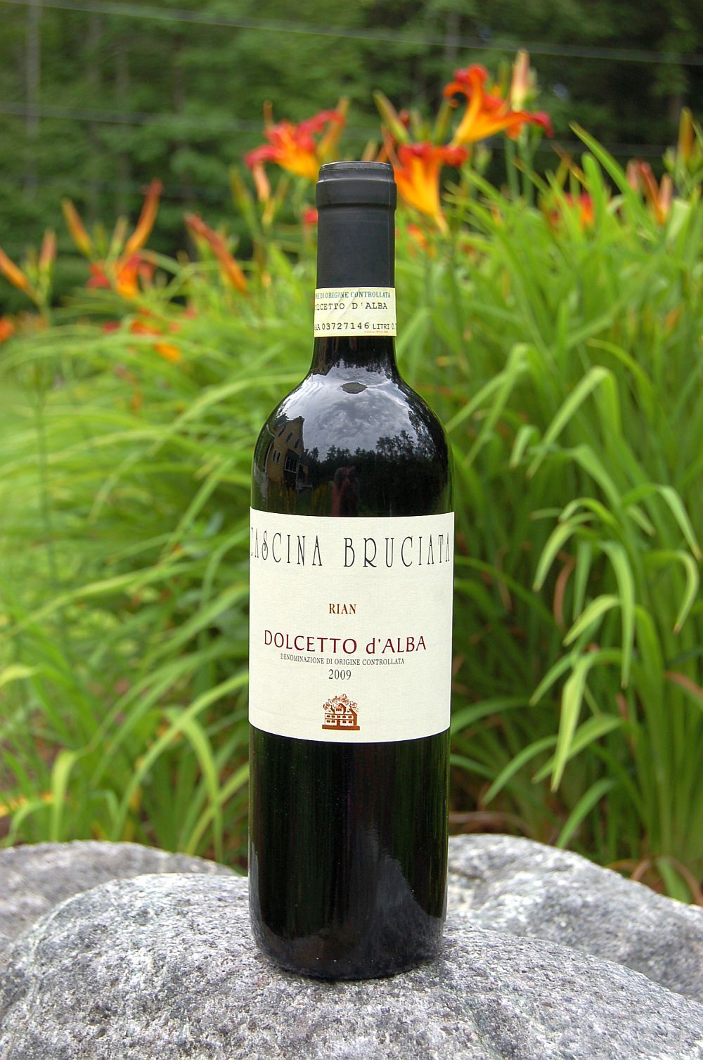 Cascina Bruciata 2009 'Rian' Dolcetto d'Alba DOC 750ml Wine Bottle