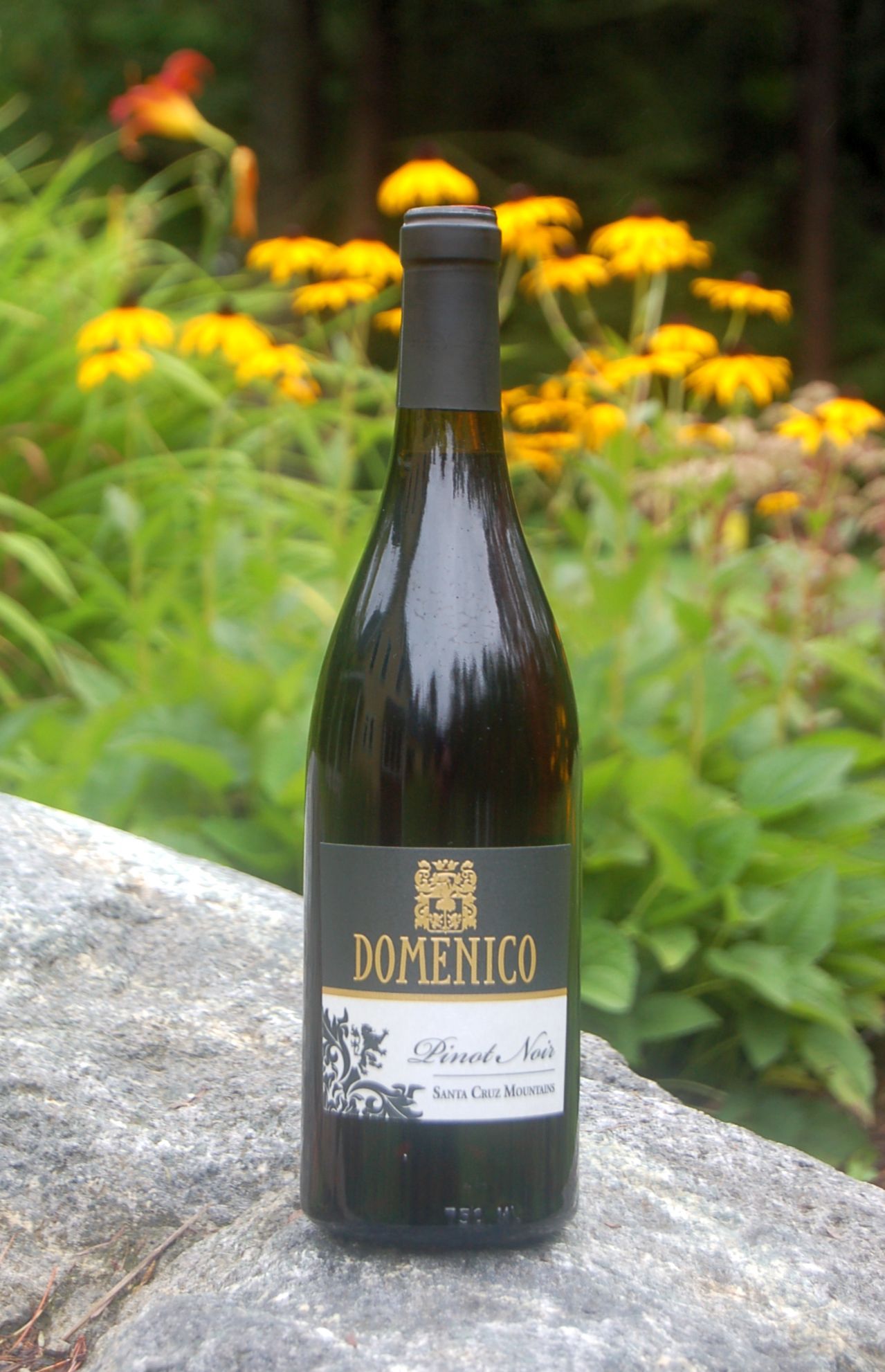 Domenico Wines 2007 Santa Cruz Mountains Pinot Noir 750ml Wine Bottle