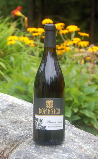 Domenico Wines 2007 Santa Cruz Mountains Pinot Noir 750ml Wine Bottle