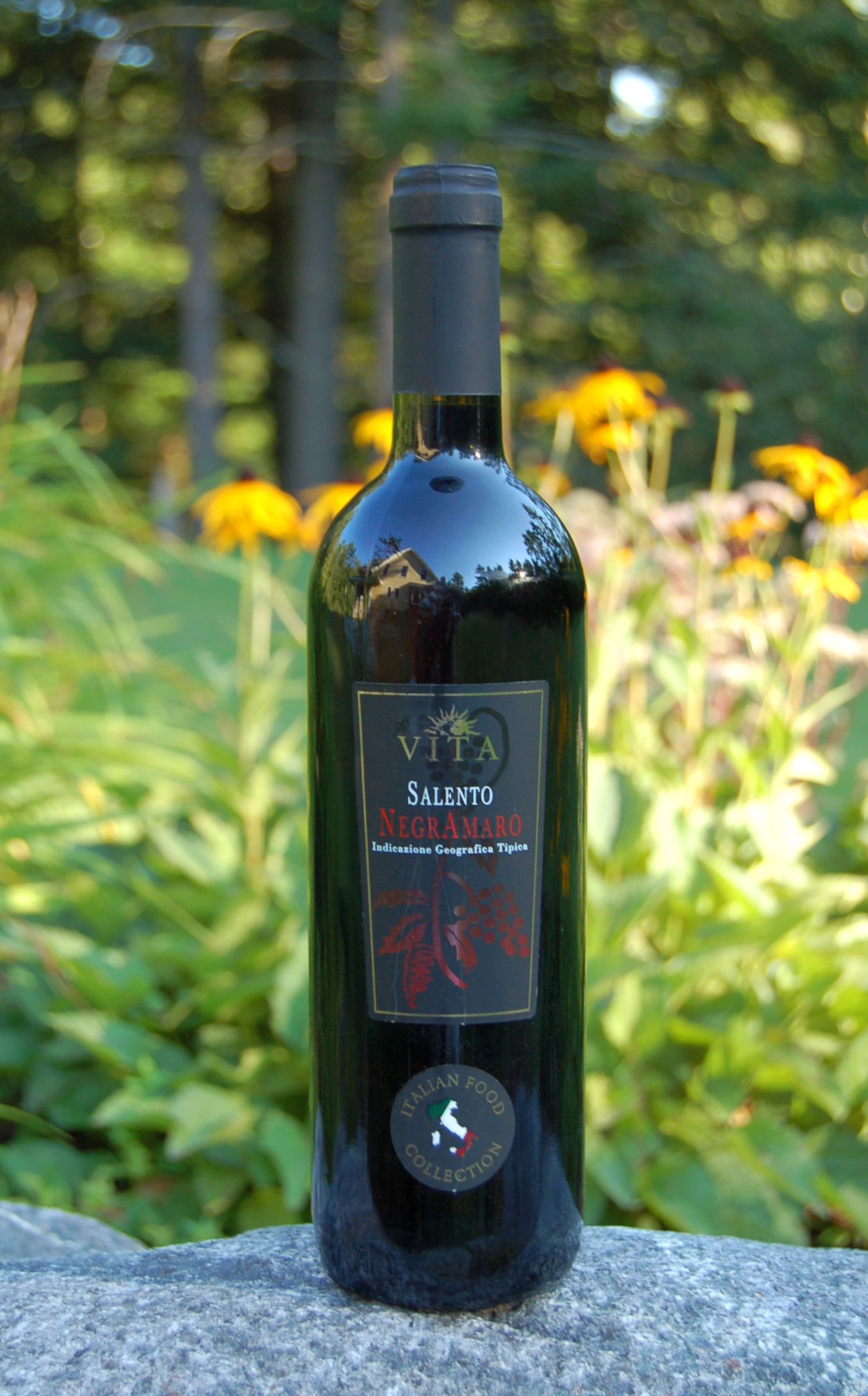 Vita Italia 2009 Negroamaro del Salento IGT 750ml Wine Bottle