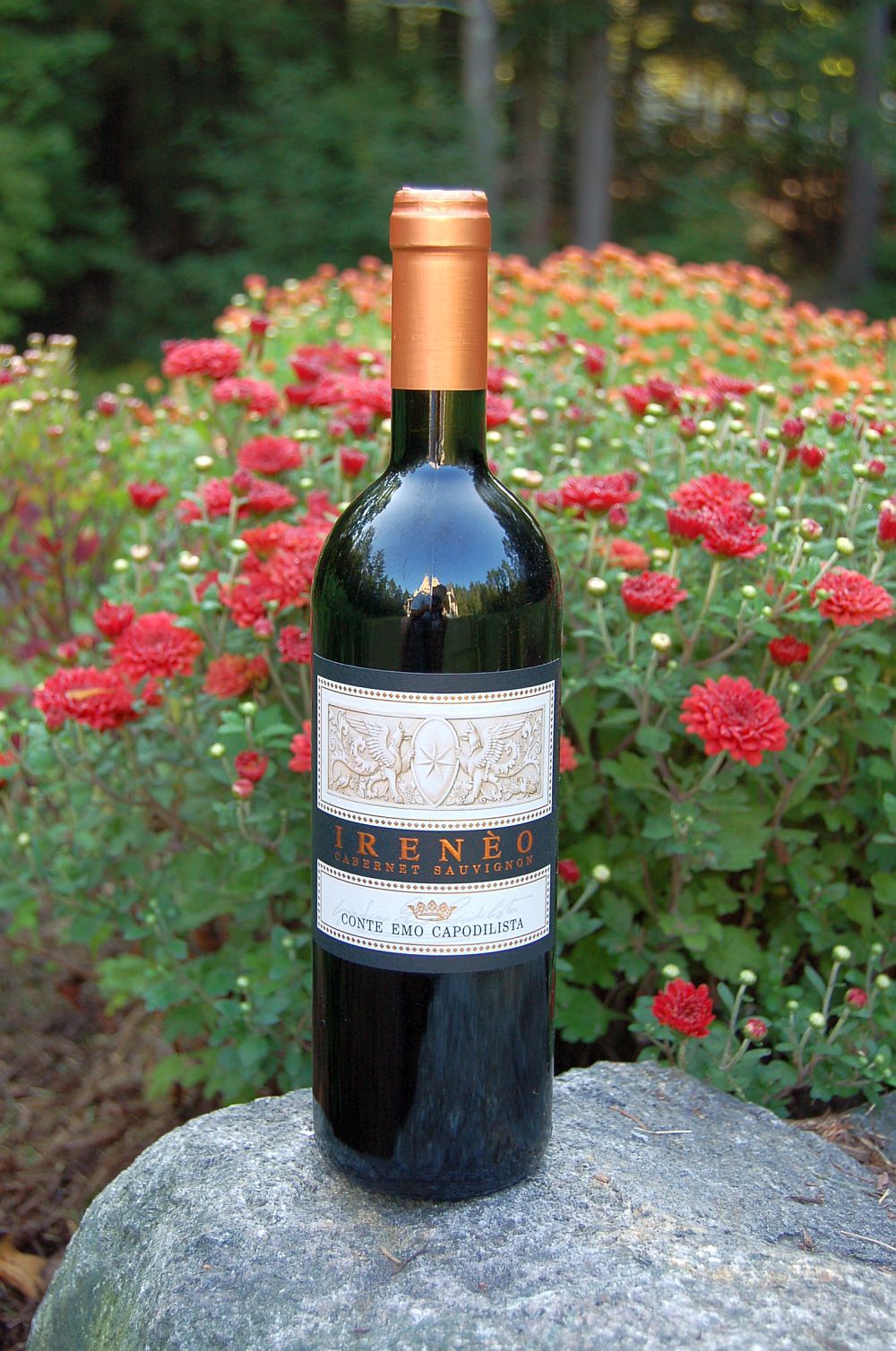 La Montecchia 2007 'Ireneo' Cabernet Sauvignon - Conte Emo Capodilista 750ml Wine Bottle