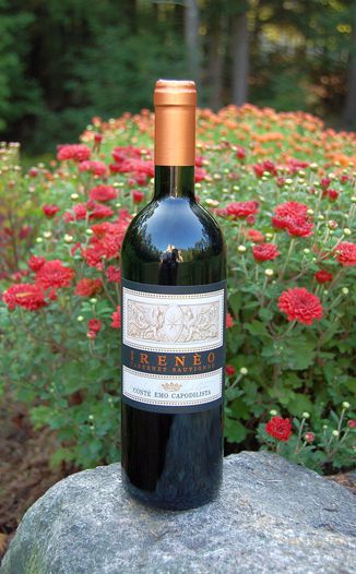 La Montecchia 2007 'Ireneo' Cabernet Sauvignon - Conte Emo Capodilista 750ml Wine Bottle