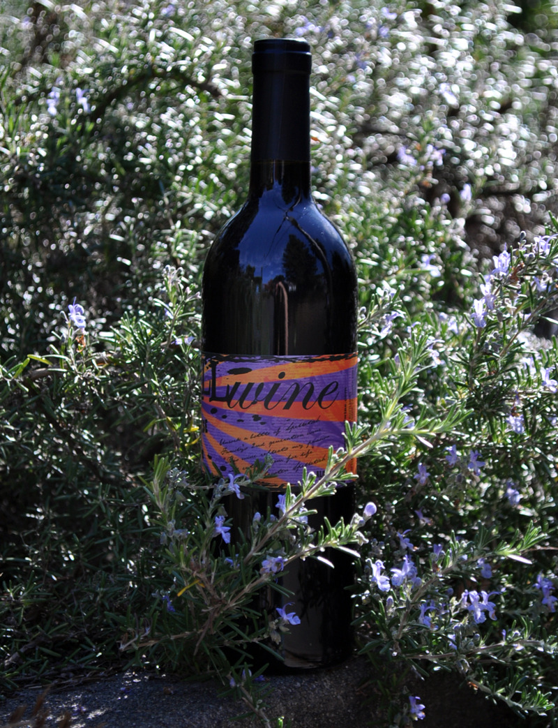 Spelletich Cellars 2007 SPELLwine Lodi County Sangiovese 750ml Wine Bottle